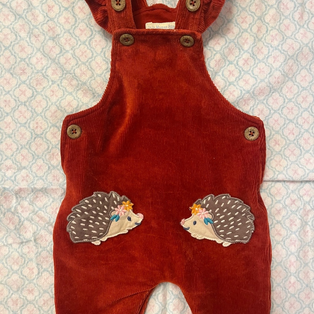 0-3 Month - Jojo Corduroy Dungeree (cute hedgehogs!)